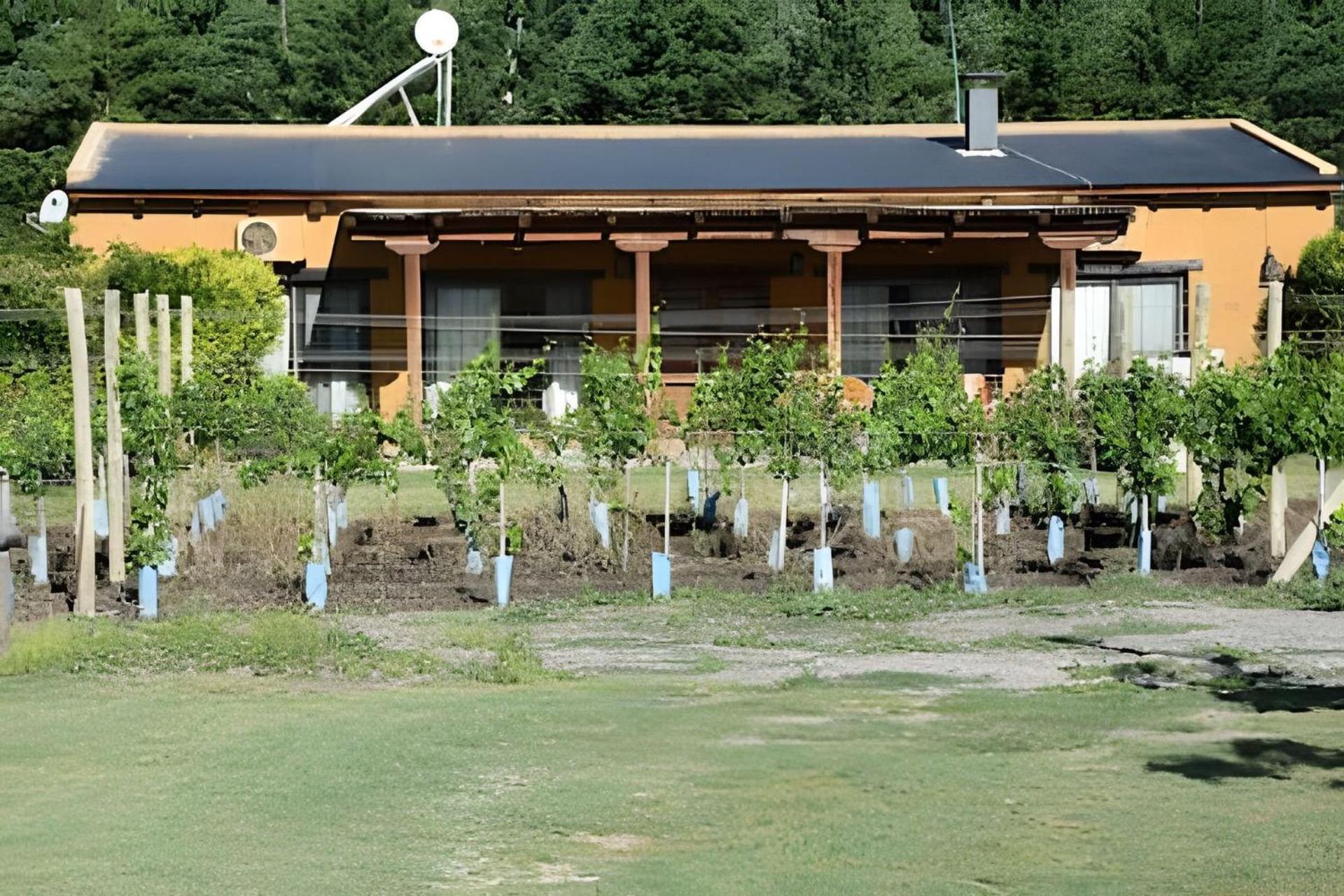 Finca Ogawa Los Sauces  Dış mekan fotoğraf
