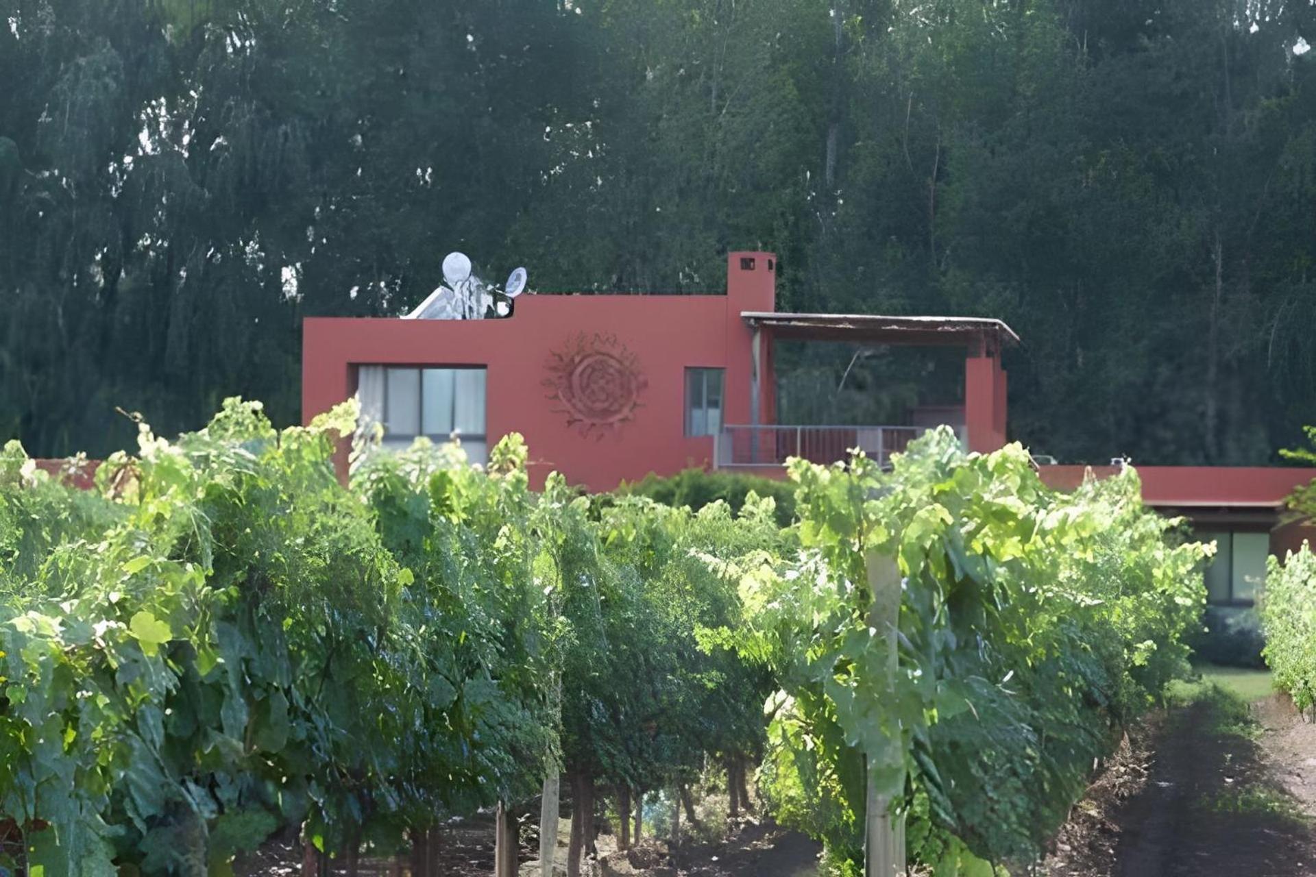 Finca Ogawa Los Sauces  Dış mekan fotoğraf