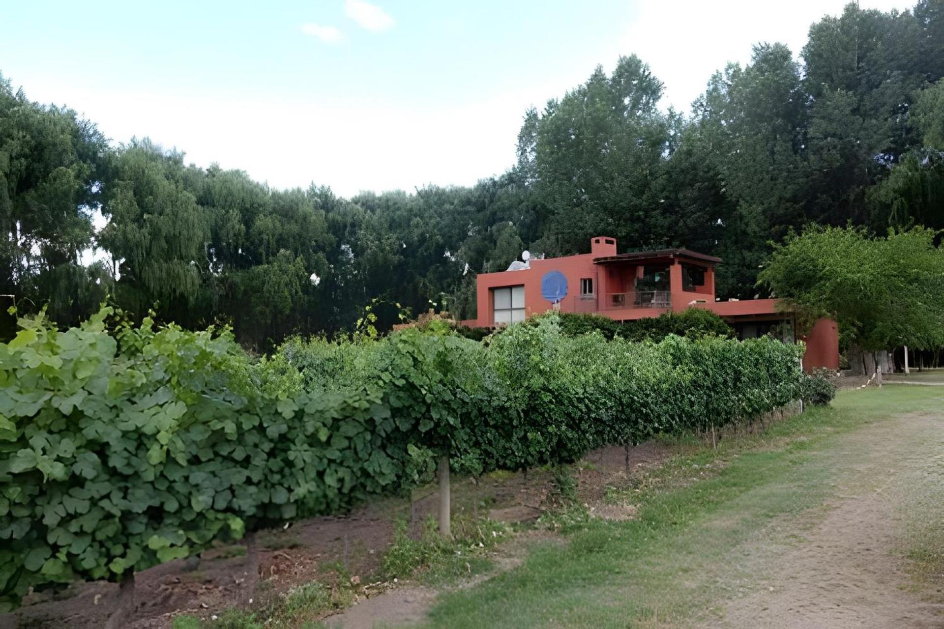 Finca Ogawa Los Sauces  Dış mekan fotoğraf